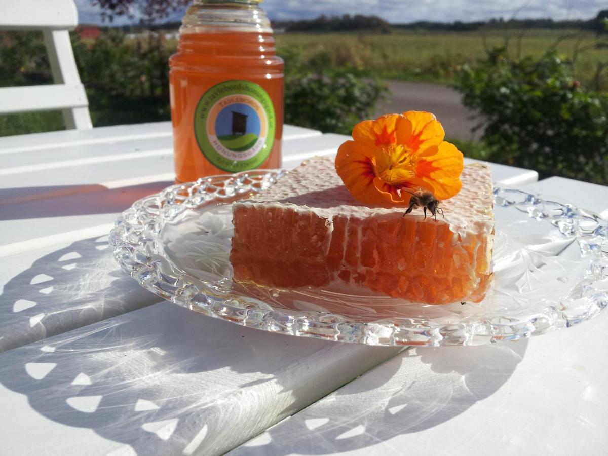 Tegneby Tavlebords Honungsgard旅馆 外观 照片